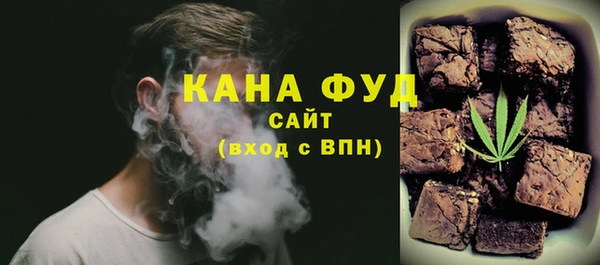 шишки Инта