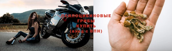 кокаин Богданович