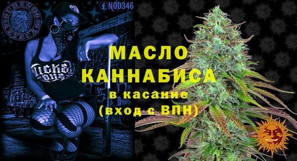 МДПВ Богородск