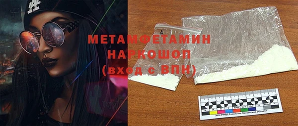 шишки Инта