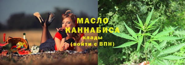 МДПВ Богородск