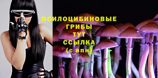 кокаин Богданович