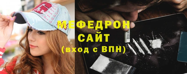 соль ск Инсар