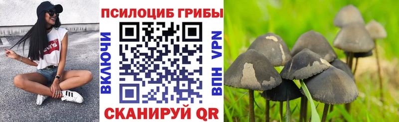 где купить наркоту  Дятьково  Галлюциногенные грибы мухоморы 